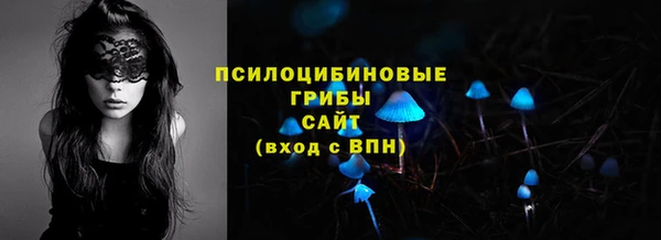 мяу мяу мука Нея
