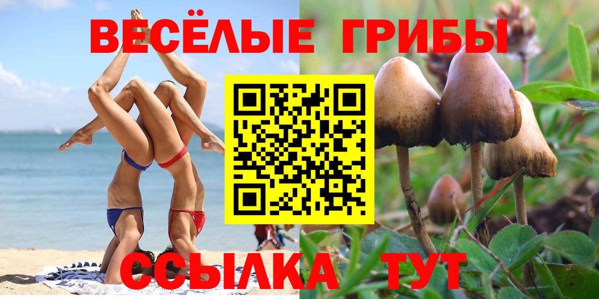 Псилоцибиновые грибы мицелий  Вход с VPN  Миасс 