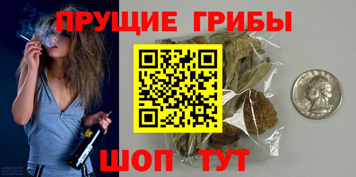 Галлюциногенные грибы Psilocybine cubensis Миасс
